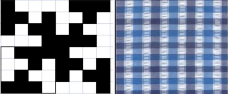 Zou organization Zou organization